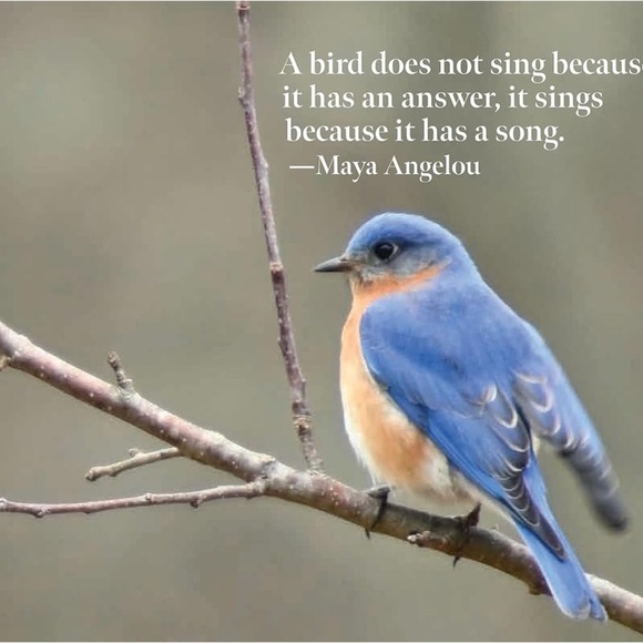 52 Weeks: A Pictureful Planner for Inspiration‎ & Organization - Picture 8 of 11